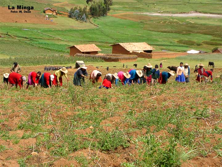 experiencias de viajes en chachapoyas durante 7 horas de tours full day