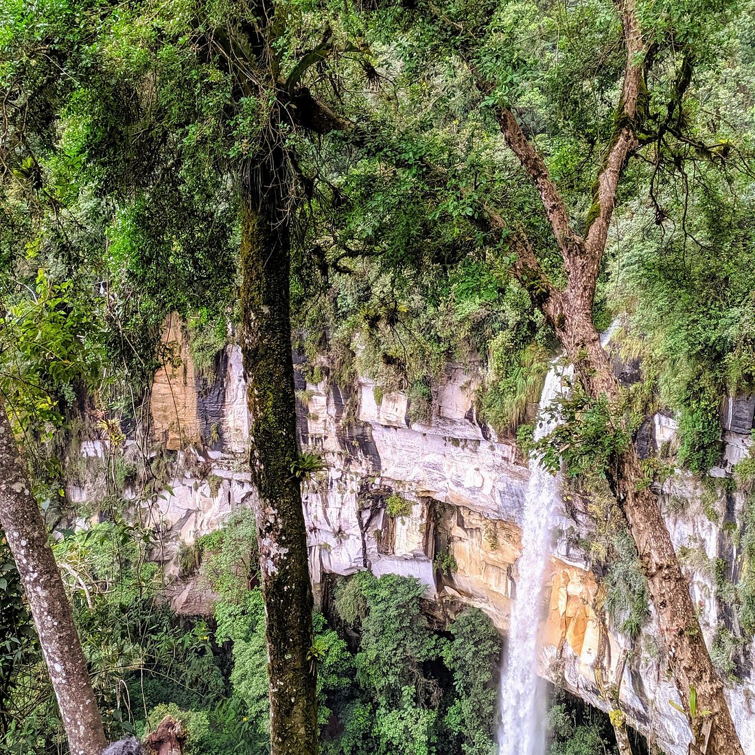 yumbilla catarata chachapoyas
